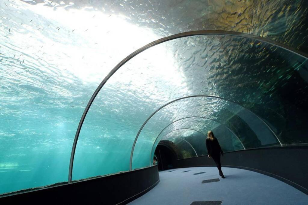 La Perle Marine :Boulogne Sur Mer Buitenkant foto